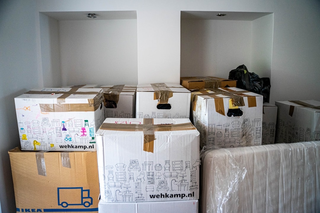 Servicio profesional de vaciado de inmuebles en Vilanova del Camí