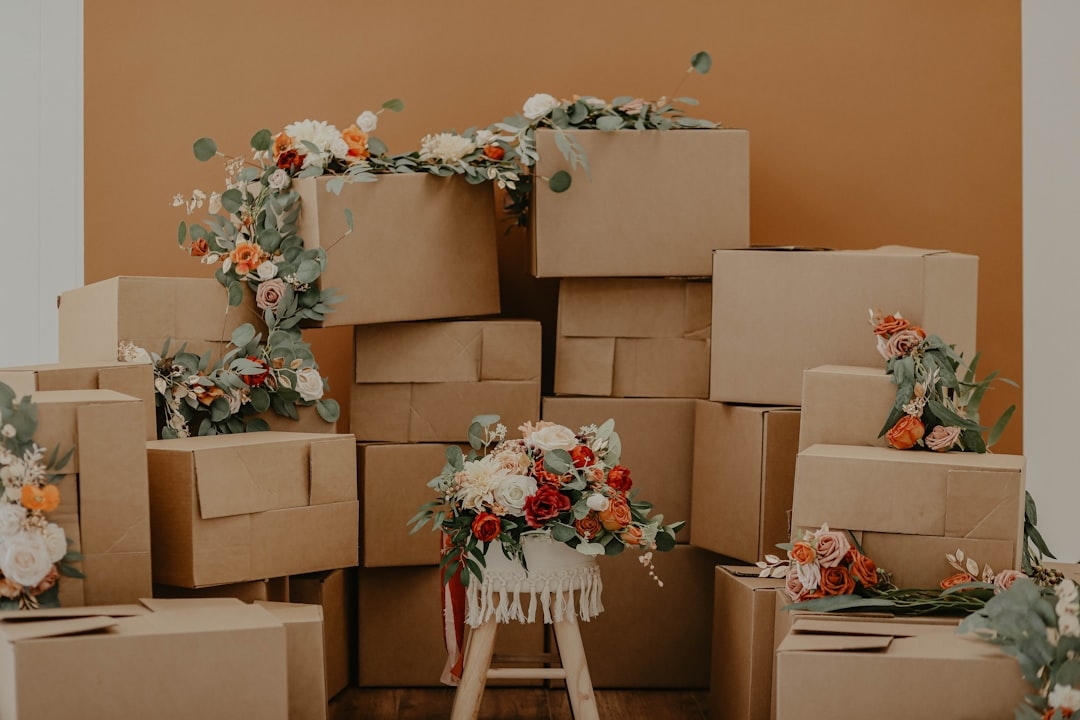 Servicio profesional de vaciado de inmuebles en Gironella