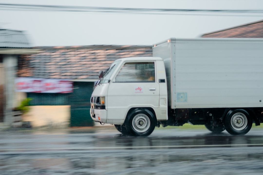 Servicio profesional de vaciado de inmuebles en Sant Julià de Vilatorta
